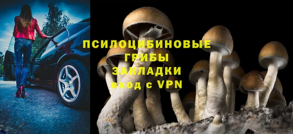 гидропоника Алапаевск
